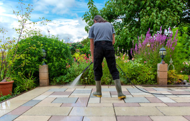 Best Patio and Deck Pressure Washing  in Mamou, LA