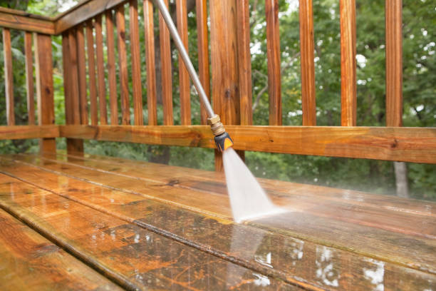 Best Sidewalk and Walkway Cleaning  in Mamou, LA